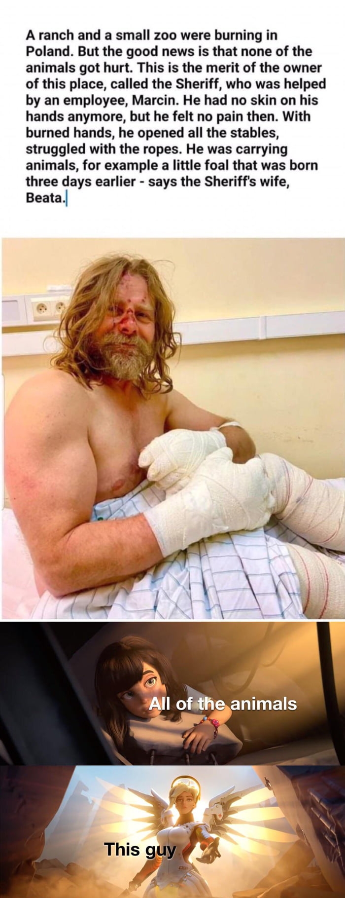 A ranch and a small zoo were burning in Poland But the good news is that none of the animals got hurt This is the merit of the owner of this place called the Sheriff who was helped by an employee Marcin He had no skin on his hands anymore but he felt no pain then With burned hands he opened all the stables struggled with the ropes He was carrying animals for example a little foal that was born thr