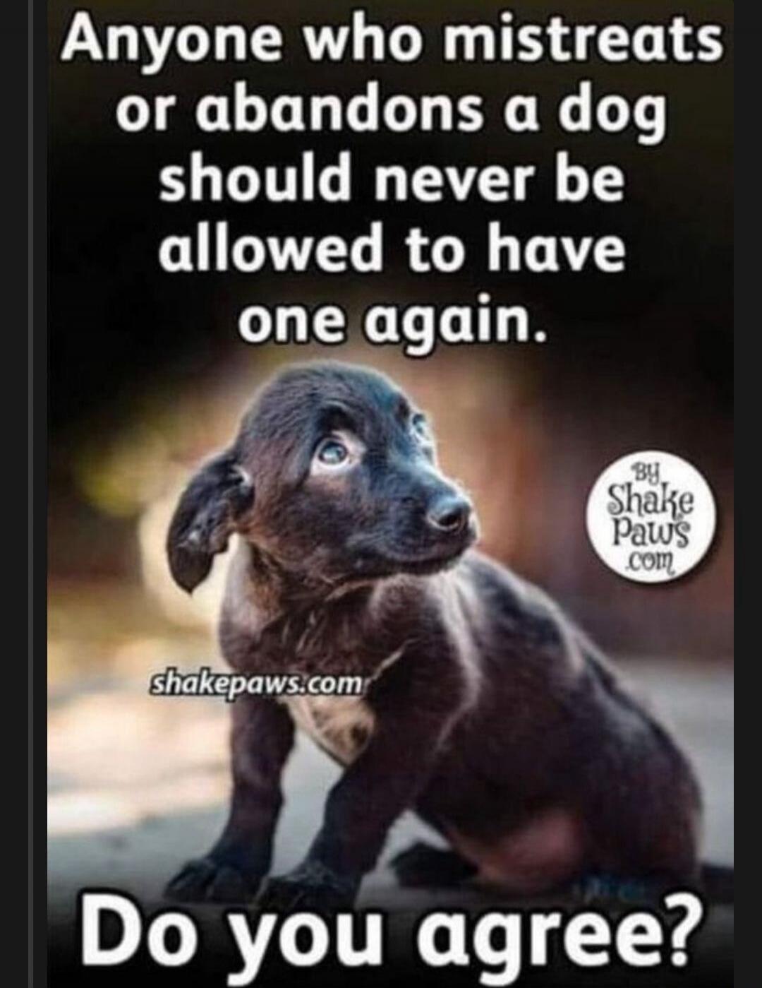 Anyone who mistreats or abandons a dog should never be allowed to have one again. Do you agree?