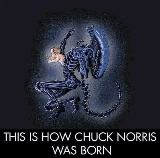 THIS IS HOW CHUCK NORRIS WAS BORN