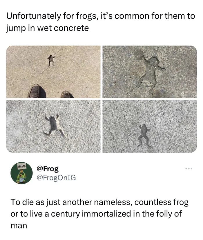 Unfortunately for frogs its common for them to jump in wet concrete Frog FrogOnIG To die as just another nameless countless frog or to live a century immortalized in the folly of man