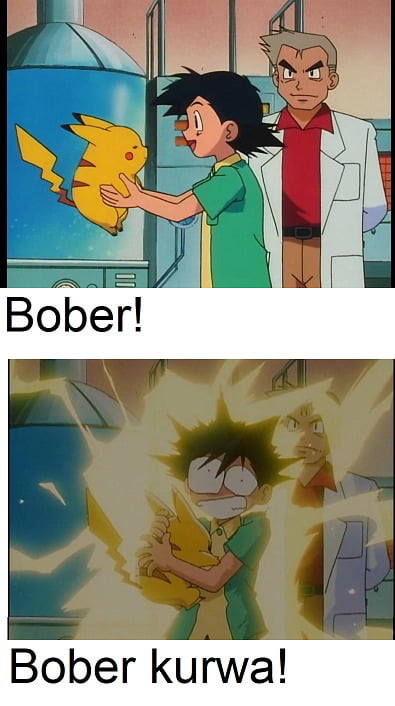 Bober kurwa