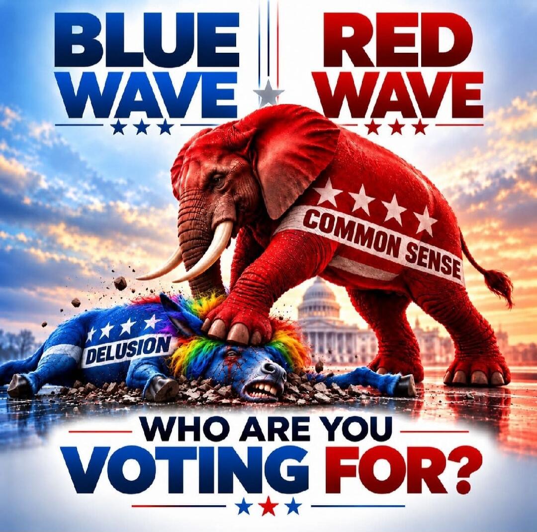 BLUE WAVE RED WAVE COMMON SENSE DELUSION WHO ARE YOU VOTING FOR?