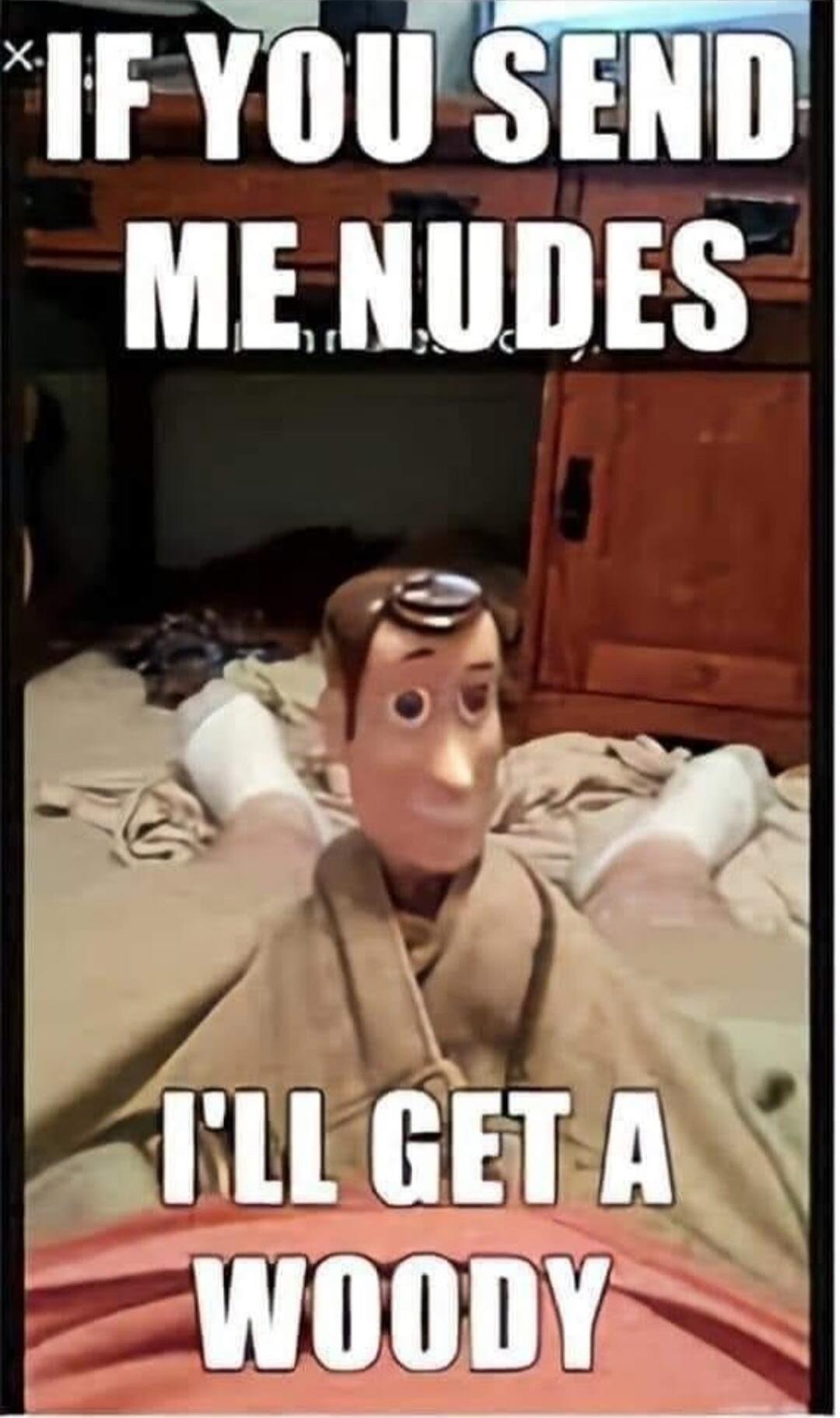 IF YOU SEND ME NUDES I'LL GET A WOODY