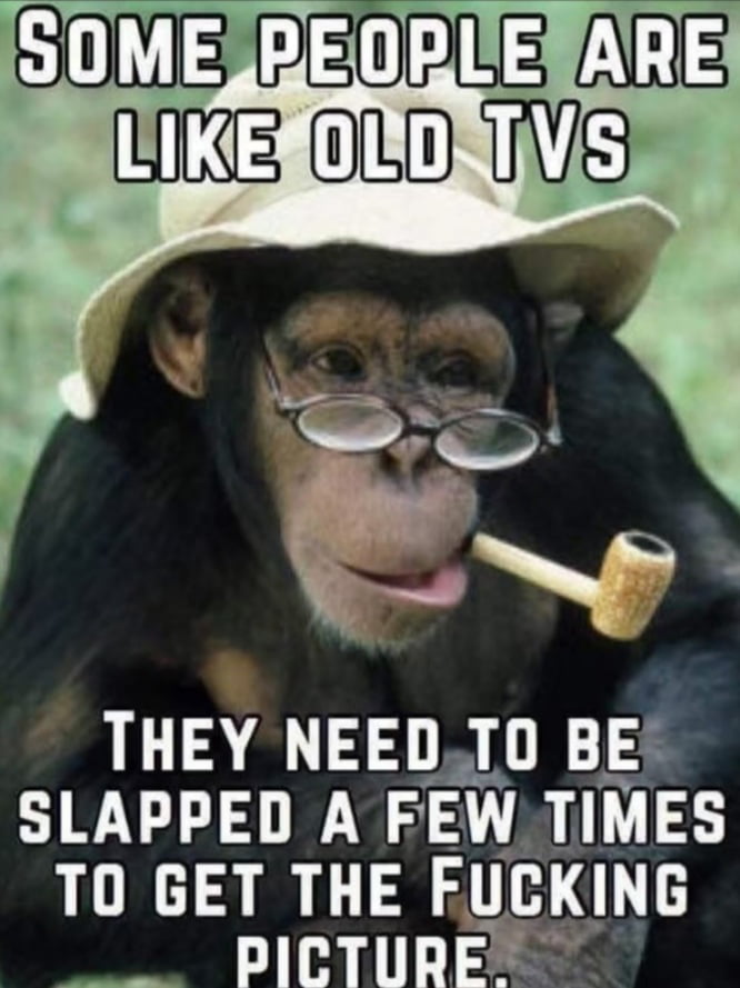 SOME PEOPLE ARE LIKE OLD TVS THEY NEED TO BE SLAPPED A FEW TIMES TO GET THE FUCKING PICTURE.