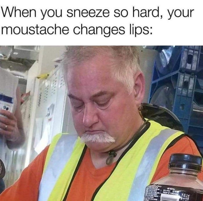 When you sneeze so hard your moustache changes Ips