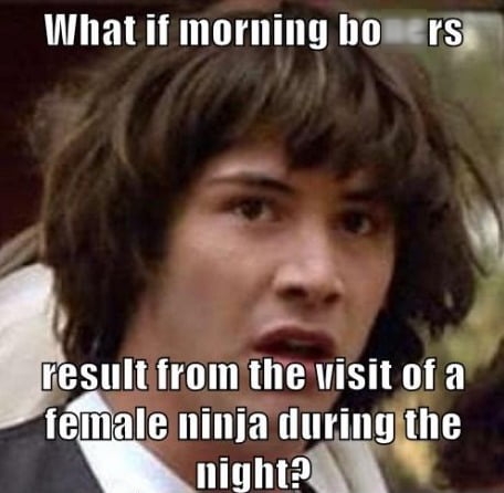 What if morning hb rw lli resultfromthevisit of a female ninja duringithe Iliyhl