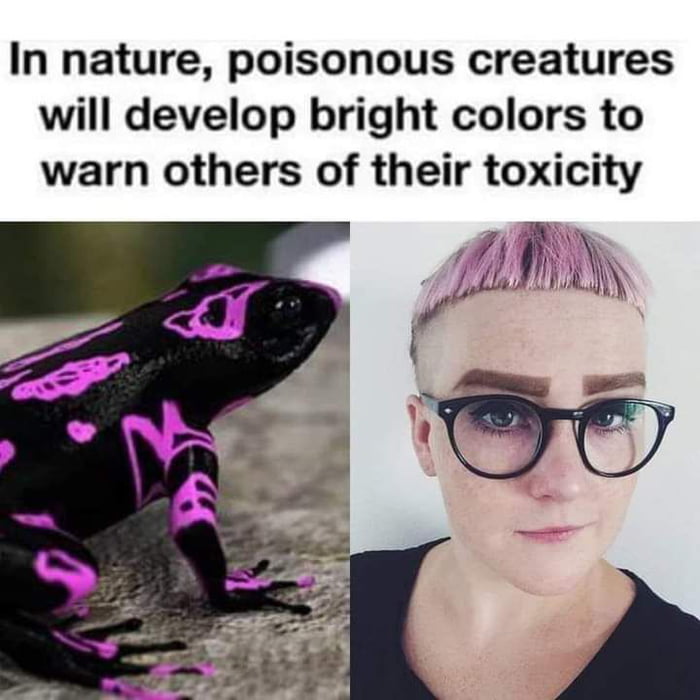 In nature poisonous creatures will develop bright colors to warn others of their toxicity