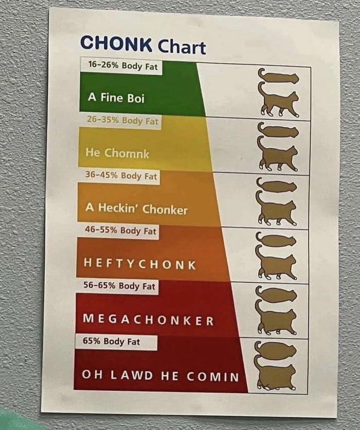 CHONK Chart 16 26 Body Fat A Fine Boi 26 35 Body Fat He Chomnk 36 45 Body Fat A Heckin Chonker 46 55 Body Fat HEFTYCHONK 56 65 Body Fat MEGACHONKER 65 Body Fat OH LAWD HE COMIN