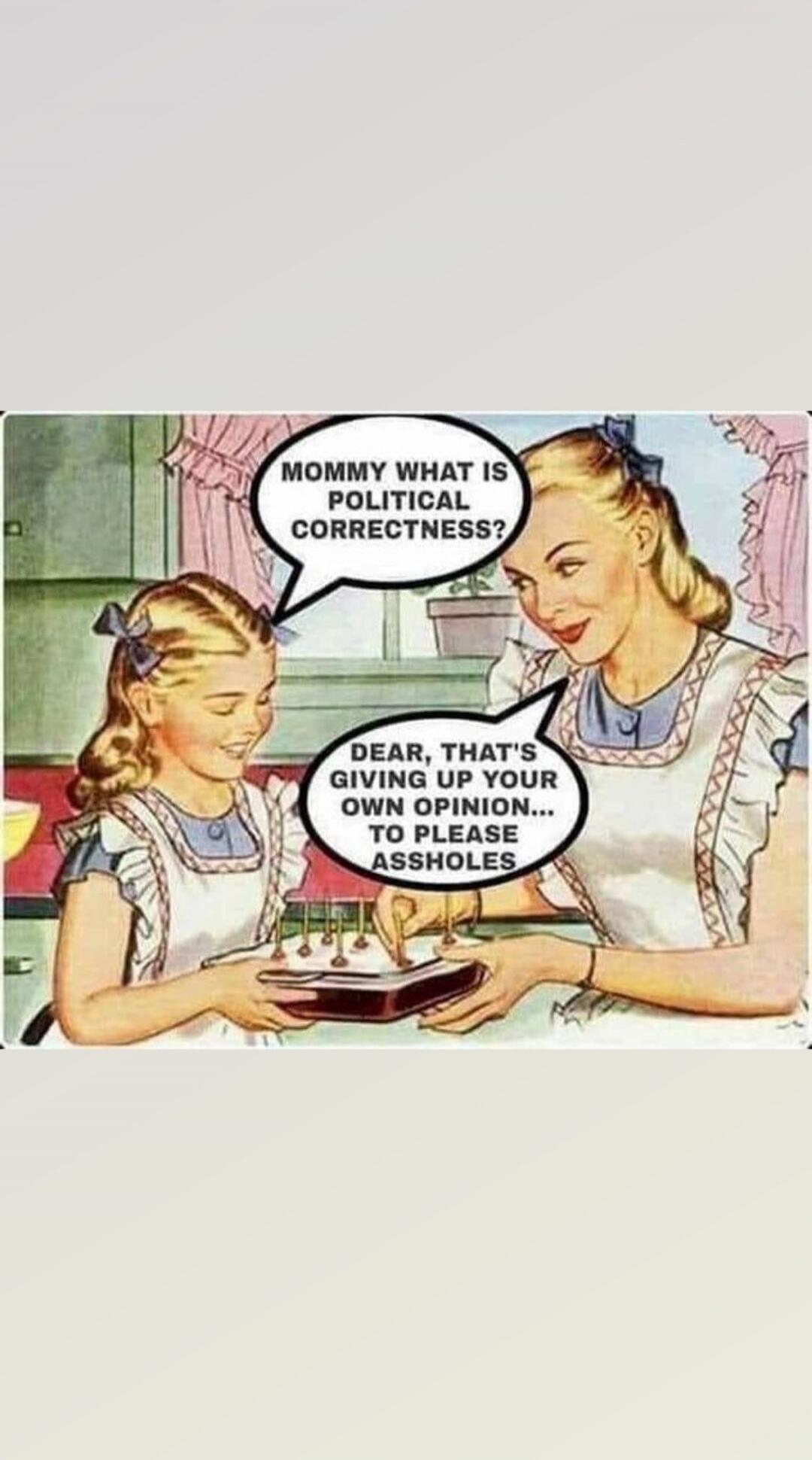Mommy what is political correctness?
Dear, that's giving up your own opinion... to please assholes