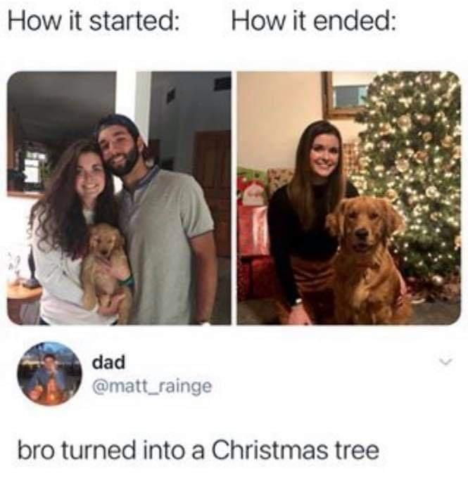 How it started How it ended dad matt_rainge bro turned into a Christmas tree