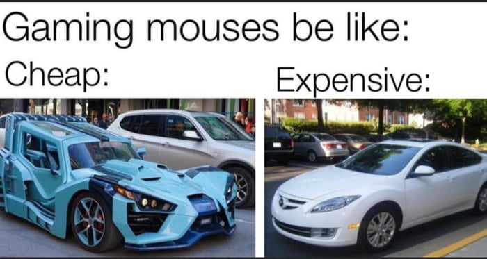 Gaming mouses be like Expensive i T i