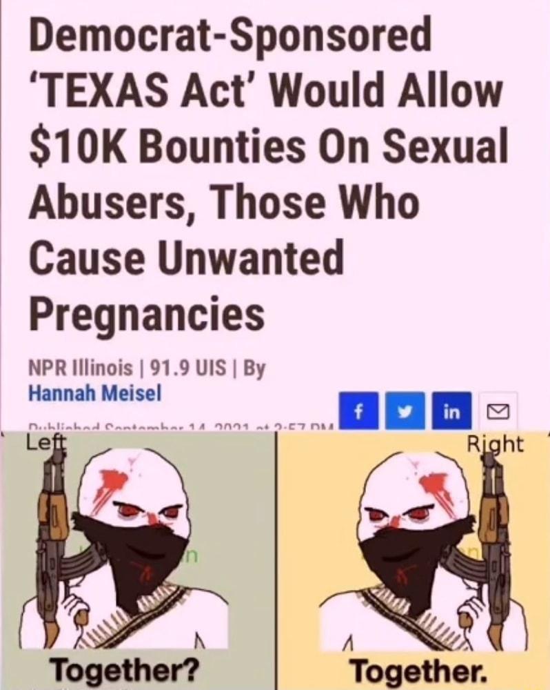 Democrat Sponsored TEXAS Act Would Allow 10K Bounties On Sexual Abusers Those Who Cause Unwanted Pregnancies NPR lllinois 919 UIS By Hannah Meisel