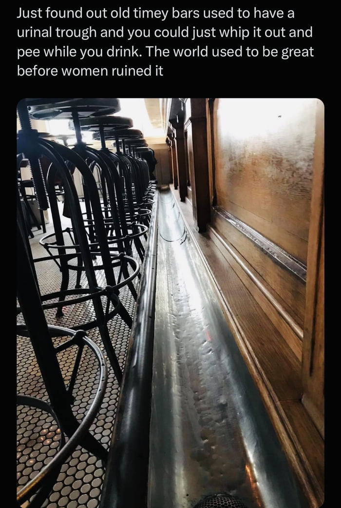 Just found out old timey bars used to have a urinal trough and you could just whip it out and pee while you drink The world used to be great before women ruined it