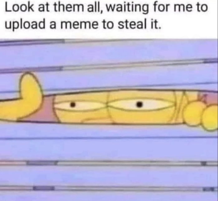 Look at them all waiting for me to upload a meme to steal it