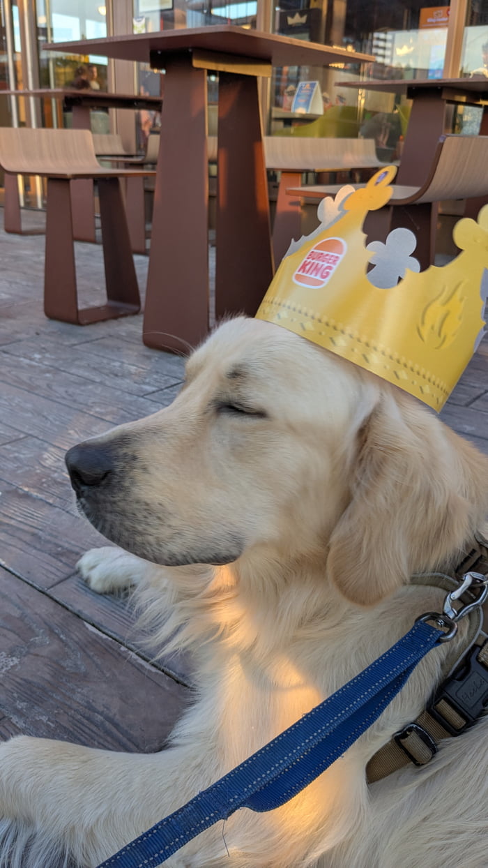 BURGER KING