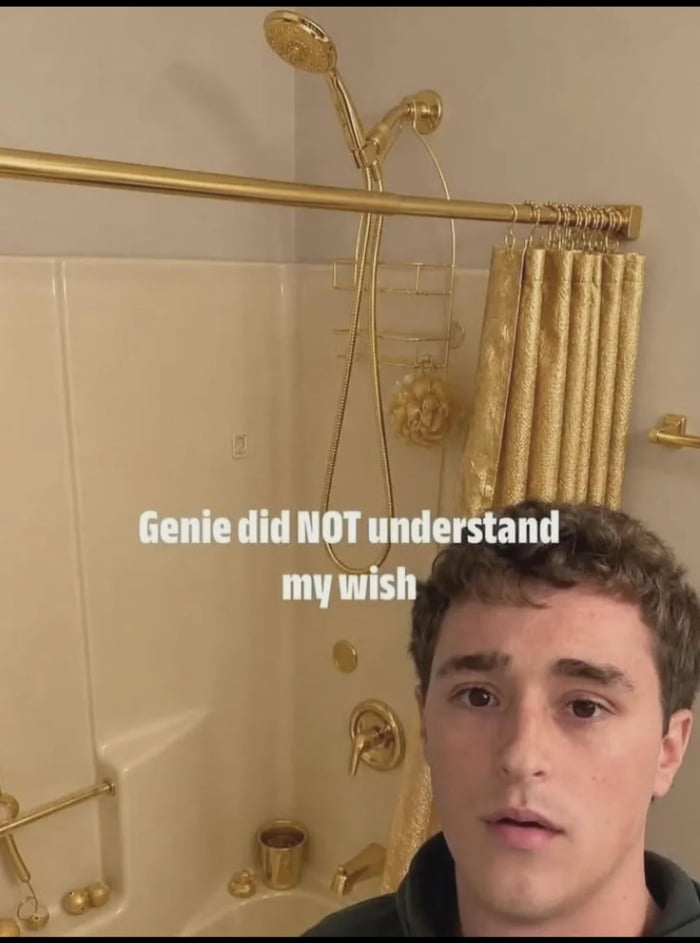 Genie did NOT understand my wish