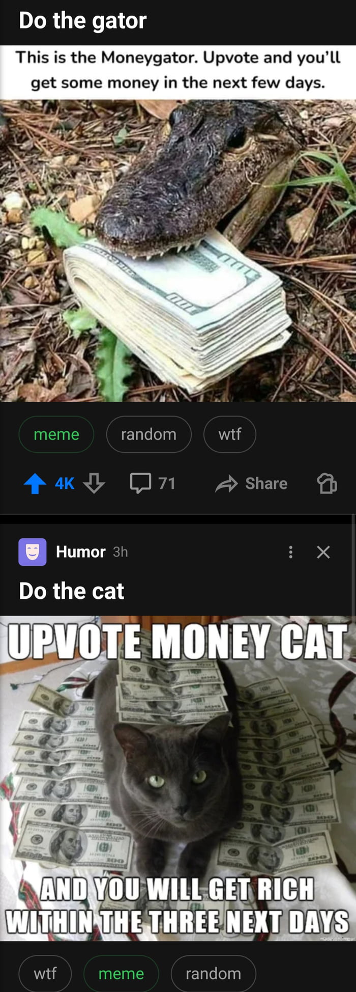Do the gator. This is the Moneygator. Upvote and you'll get some money in the next few days. Do the cat. UPVOTE MONEY CAT AND YOU WILL GET RICH WITHIN THE THREE NEXT DAYS.