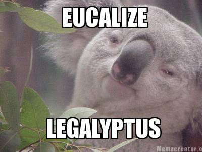 EUCALIZE LEGALYPTUS