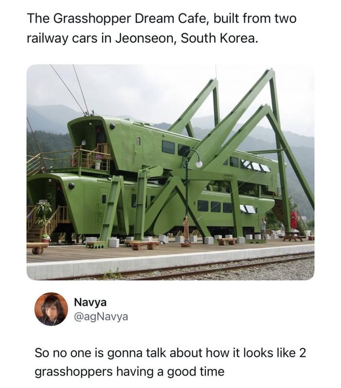 The Grasshopper Dream Cafe, built from two railway cars in Jeonseon, South Korea.

So no one is gonna talk about how it looks like 2 grasshoppers having a good time