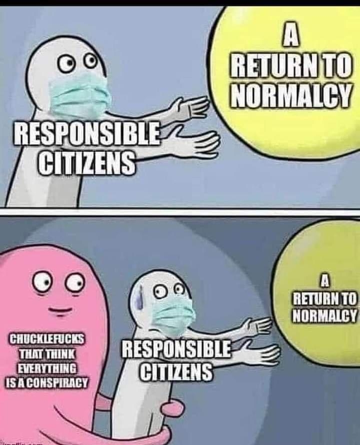 RESPO nmue CITIZENS QO _ CHUCKIEFUCKS THAT THINK 0 RETURN 0 QNORMALCY EVERYTHING S 15 A CONSPIRACY Y