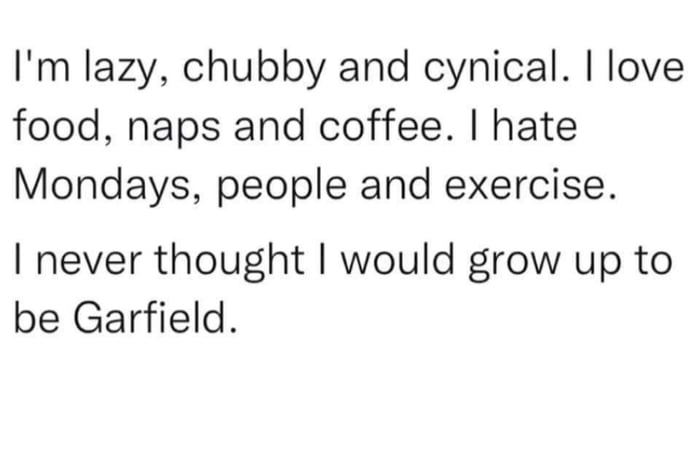 Im lazy chubby and cynical love food naps and coffee hate Mondays people and exercise never thought would grow up to be Garfield