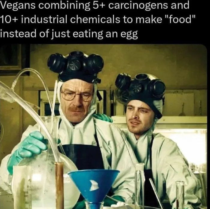 Vegans combining 5 carcinogens and O3 Te VES 1N T ITo 1 ER N EU Ry eToTe Y instead of just eating an egg