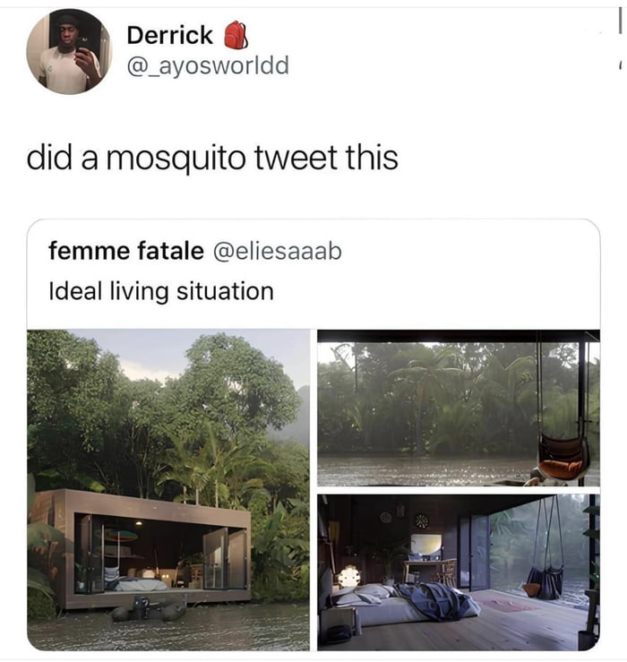 1 Derrick _ayosworldd did a mosquito tweet this femme fatale eliesaaab Ideal living situation