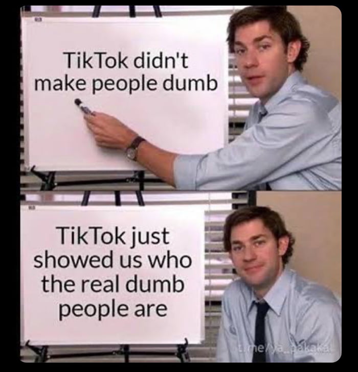 TikTok didnt make people dumb 2 TikTok just showed us who the real dumb peopleare B