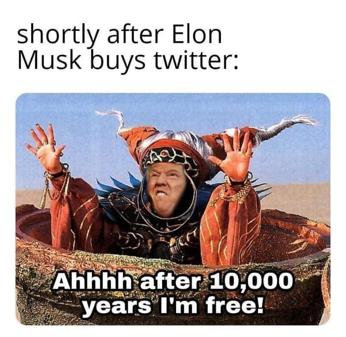 shortly after Elon Musk buys twitter oS e SRS T