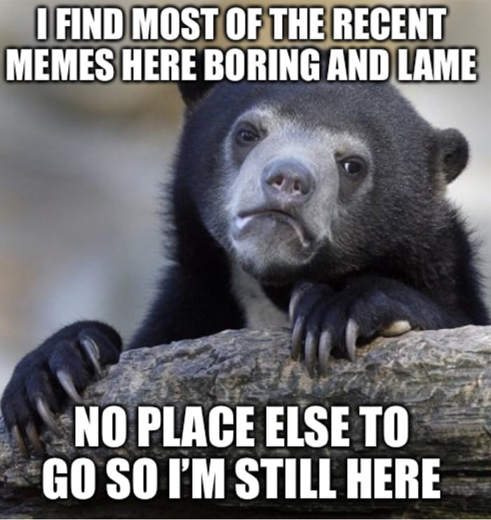 MEMES HERE BIIIIING HII LAME NI IlAGE ElSE TI 2 G SO IM STILL HERE