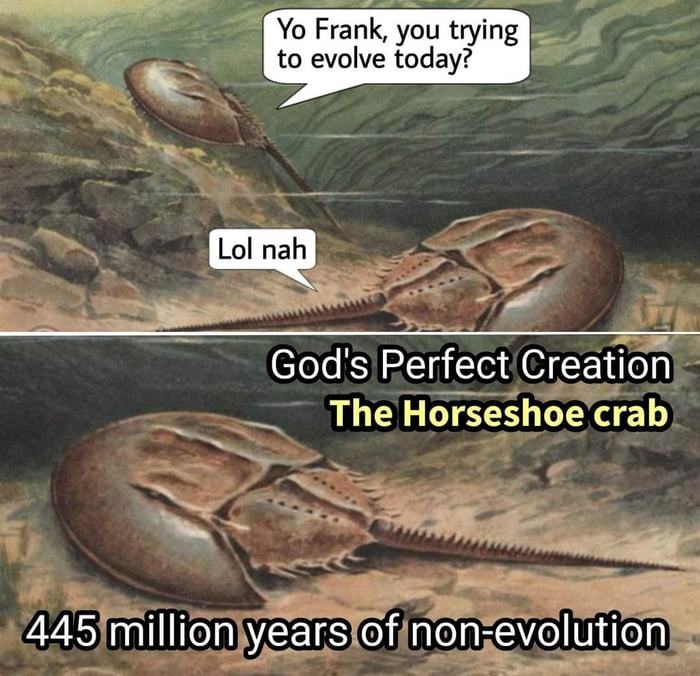 Yo Frank you trying to evolve today Gods PerfectCreation LG EE I P RE VS PR YEERS Gl e Evel ion
