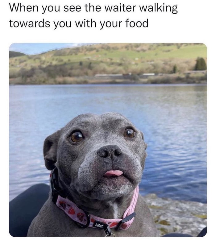 When you see the waiter walking towards you with your food