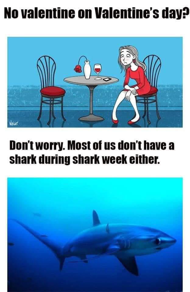 No valentine on Valentines day Dont worry Most of us donthave a shark during shark week either N