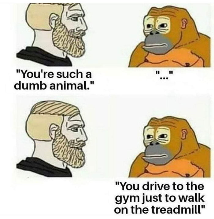 Youresuch a L dumb animal You drive to the gym just to walk on the treadmill