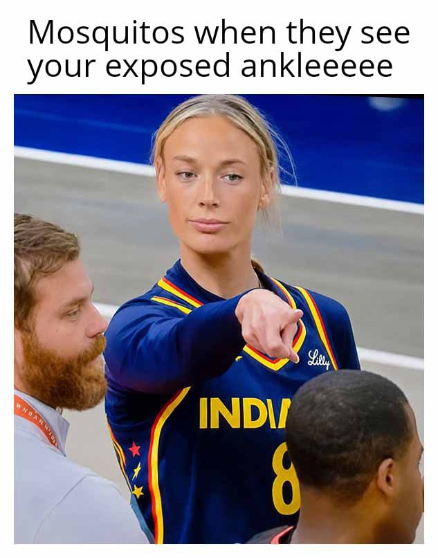 Mosquitos when they see your exposed ankleeeee