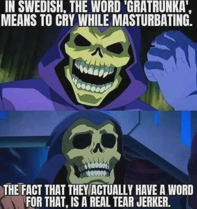 IN SWEDISH, THE WORD 'GRATRUNKA', MEANS TO CRY WHILE MASTURBATING. THE FACT THAT THEY ACTUALLY HAVE A WORD FOR THAT, IS A REAL TEAR JERKER.