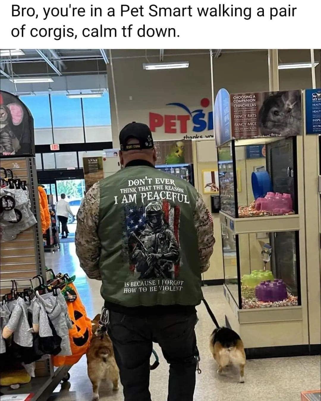 Bro youre in a Pet Smart walking a pair of corgls calm tf down