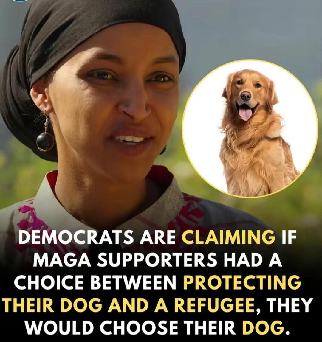 DEMOCRATS ARE CLAIMING IF MAGA SUPPORTERS HAD A CHOICE BETWEEN PROTECTING THEIR DOG AND A REFUGEE, THEY WOULD CHOOSE THEIR DOG.