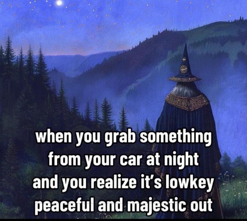when you grab something from your car at night and you realize its lowkey peaceful and majestic out