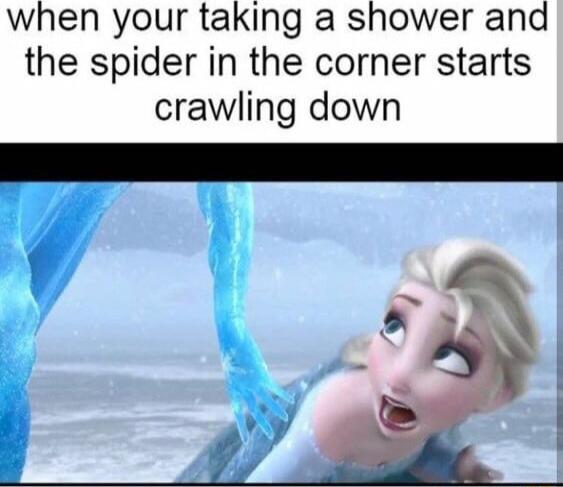 when your taking a shower and the spider in the corner starts crawling down