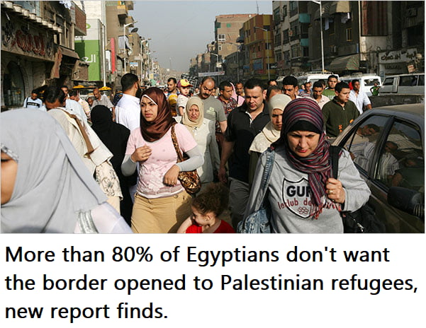 More than 80 of Egyptians dont want the border opened to Palestinian refugees new report finds