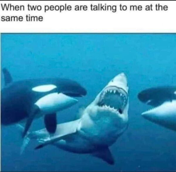 en two people are talking to me at the same time