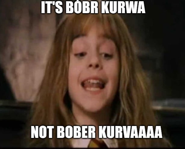 ITS BOBR KURWA NOT BOBER KURVAAAA