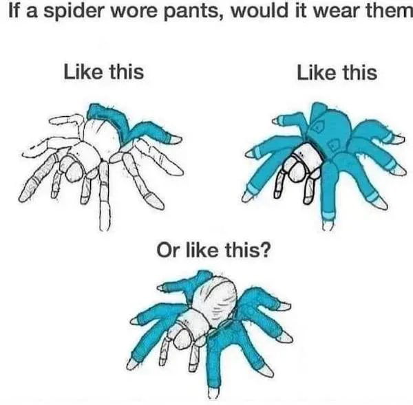 If a spider wore pants would it wear them Like this Like this