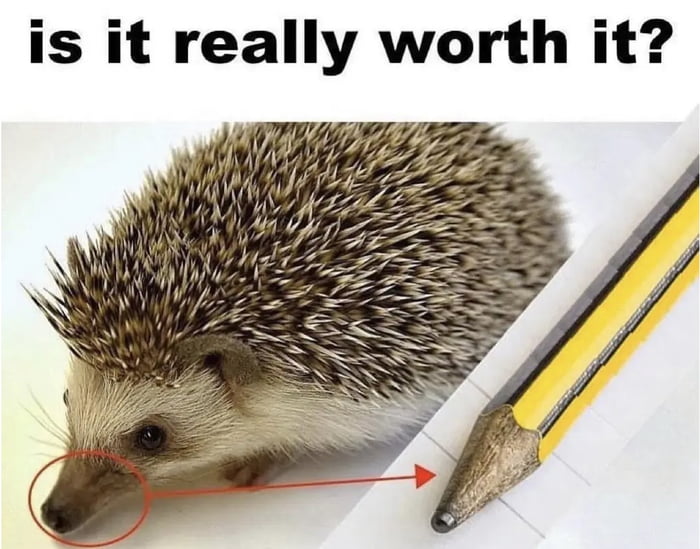 is it really worth it