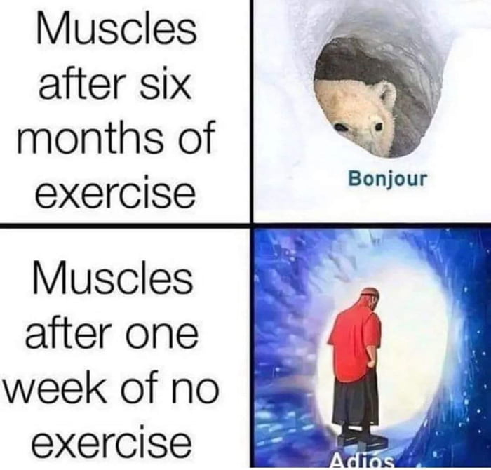 Muscles after six months of exercise Bonjour Muscles after one week of no exercise