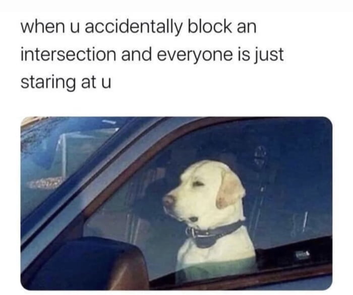when u accidentally block an intersection and everyone is just staring at u