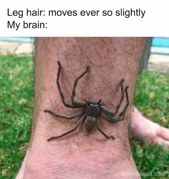 Leg hair moves ever so slightly My brain