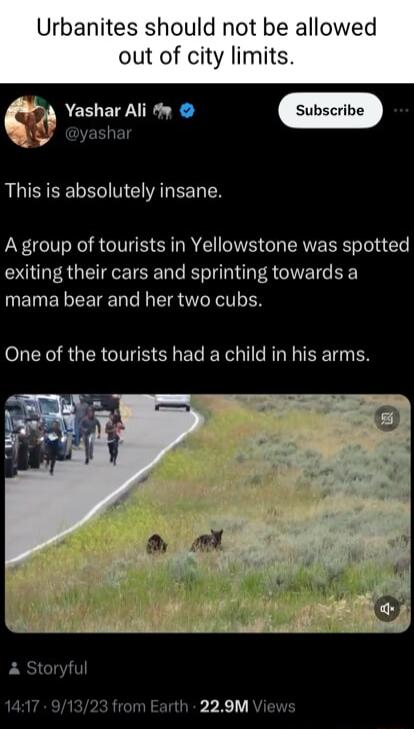 Urbanites should not be allowed out of city limits Yashar Ali y MEYEELEY This is absolutely insane A group of tourists in Yellowstone was spotted exiting their cars and sprinting towards a mama bear and her two cubs One of the tourists had a child in his arms A Storyfu 417 91323 from Earth 229M Views P11 11 1 A