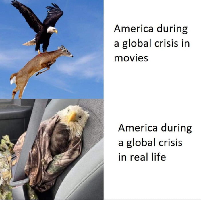 America during a global crisis in movies America during a global crisis in real life